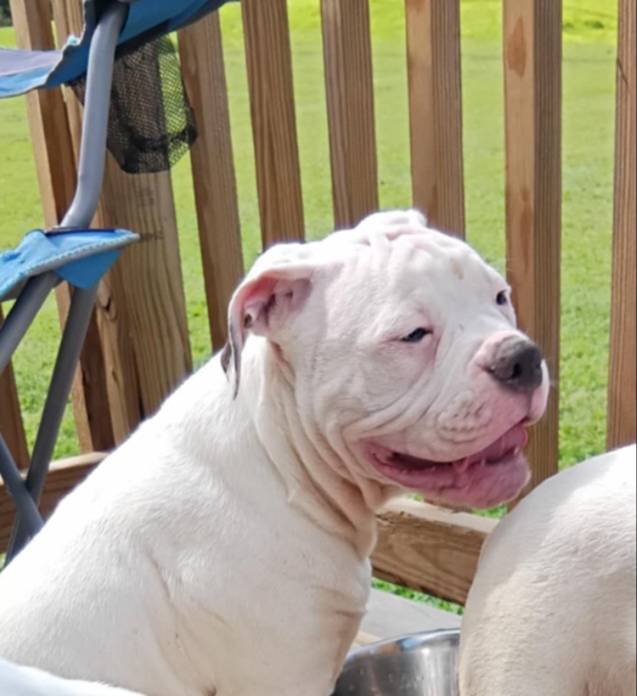 b02efdc1-394e-461a-bcf8-8e6caa922e7a/listing/506516dd-7c65-420d-860a-1c9f319fc3db/26378897-aeee-4dac-9590-11ecae890618