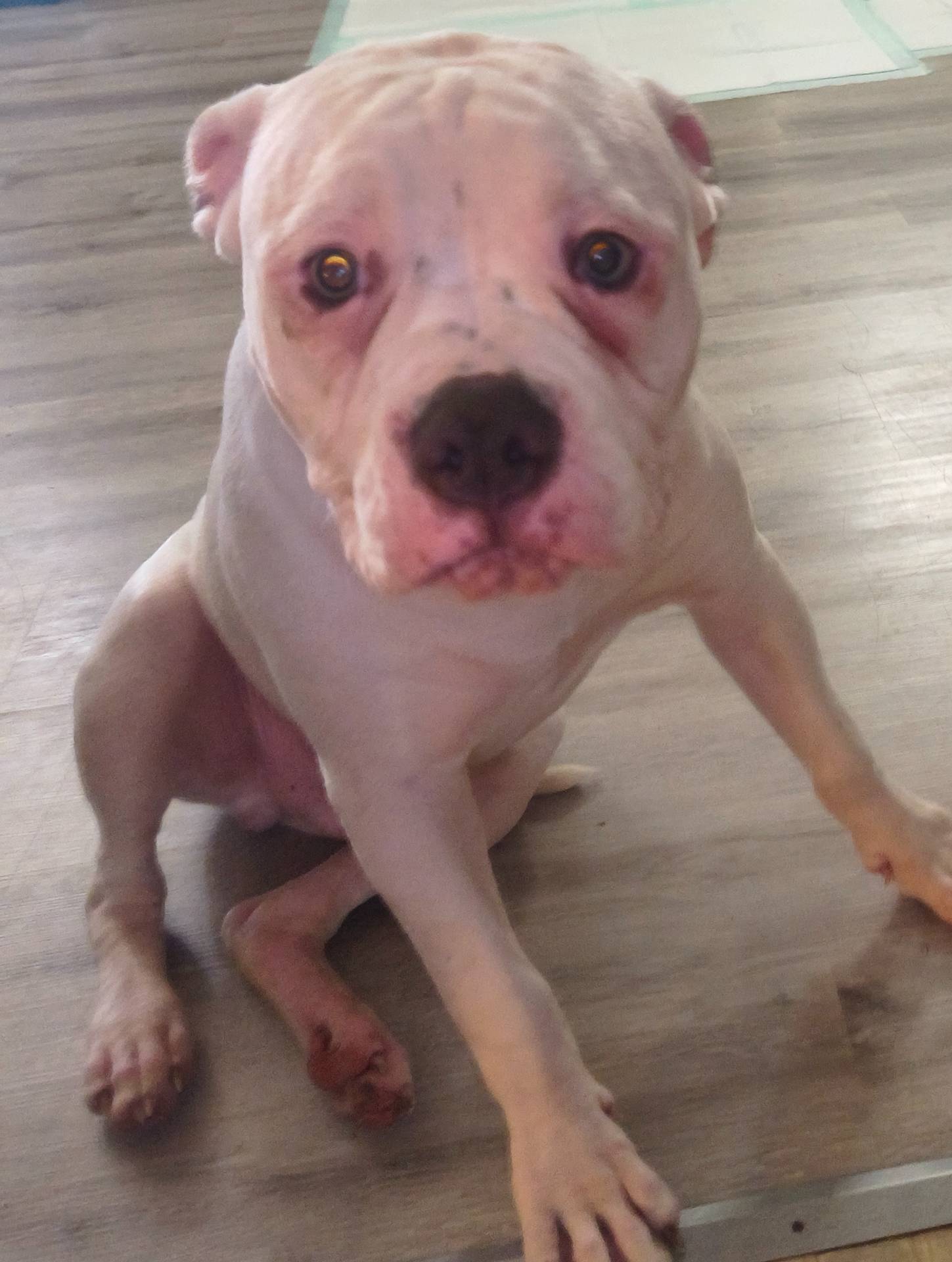 b02efdc1-394e-461a-bcf8-8e6caa922e7a/listing/506516dd-7c65-420d-860a-1c9f319fc3db/89f27658-6ff1-4c5f-9a7c-e7a49430fced