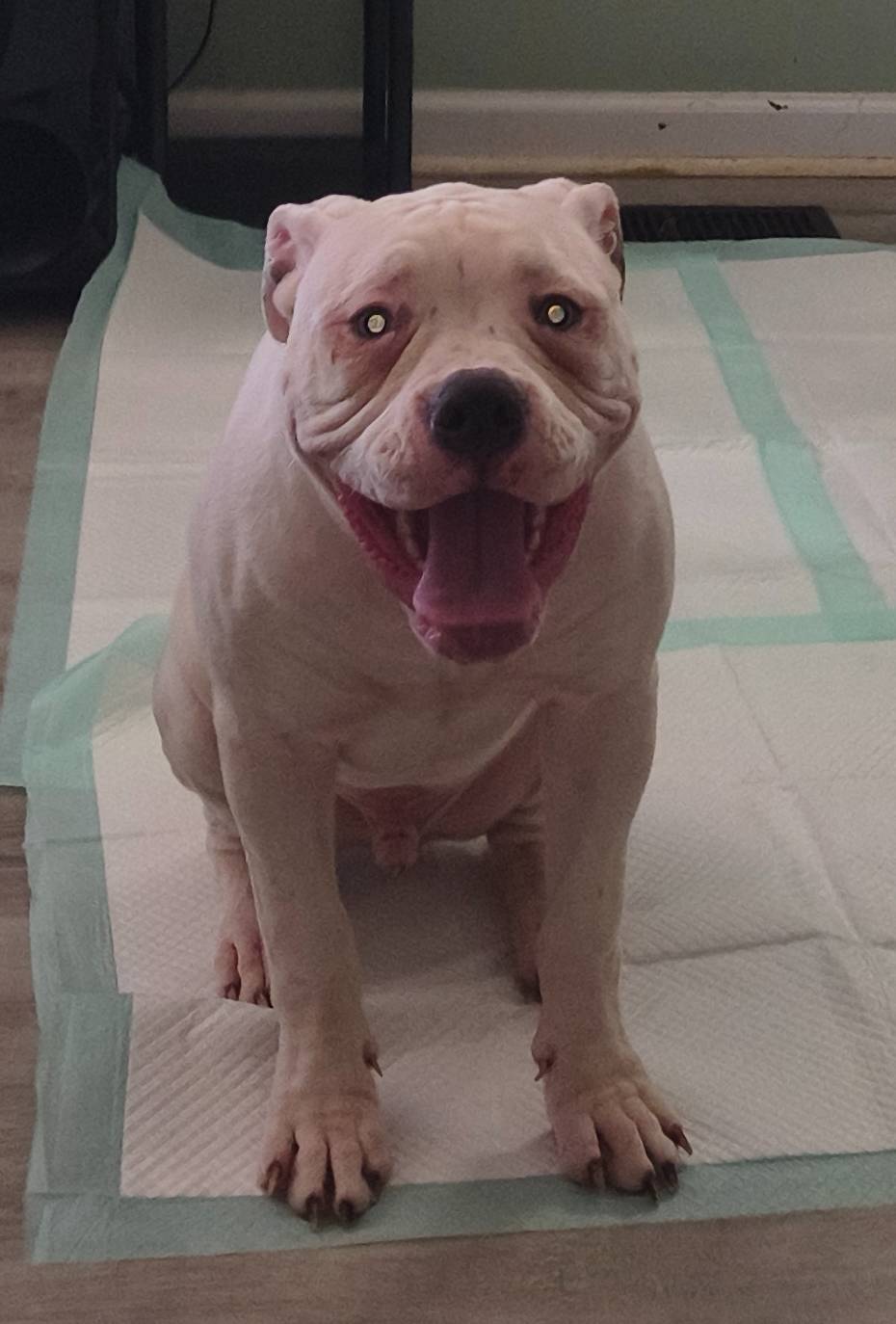 b02efdc1-394e-461a-bcf8-8e6caa922e7a/listing/506516dd-7c65-420d-860a-1c9f319fc3db/b0be4074-4a29-4530-ba73-018e33e7664d