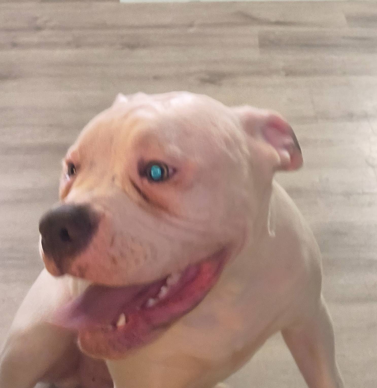 b02efdc1-394e-461a-bcf8-8e6caa922e7a/listing/506516dd-7c65-420d-860a-1c9f319fc3db/c1c1e4ea-faf8-4b0a-a18d-e860b18c6231