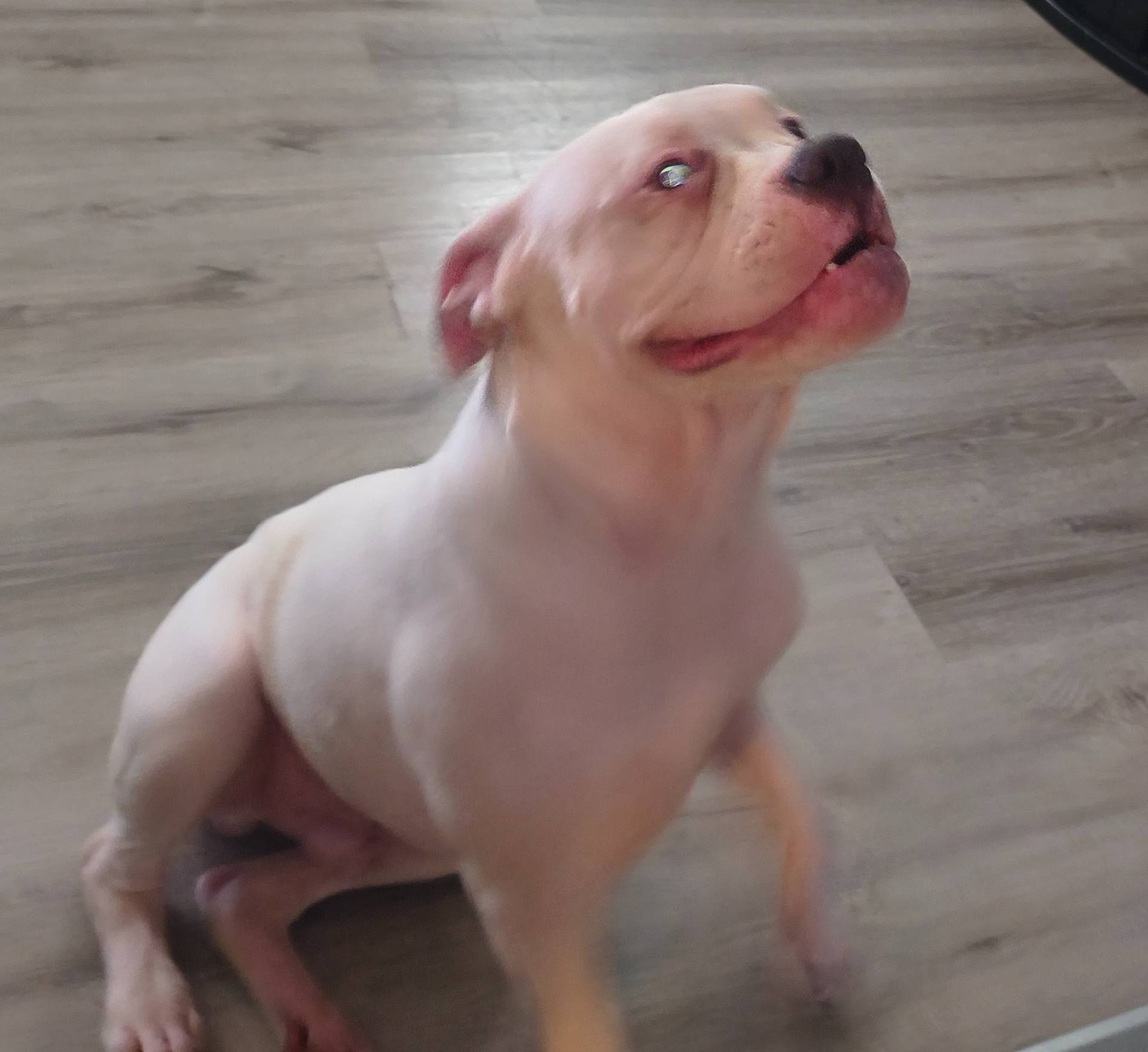 b02efdc1-394e-461a-bcf8-8e6caa922e7a/listing/506516dd-7c65-420d-860a-1c9f319fc3db/f919890c-fd77-4167-ba7e-95044827c876