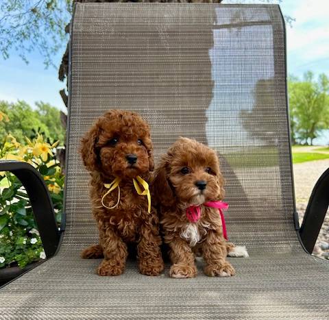 b06cb1d3-5c8d-41cb-aeca-86df33a4ce3f/facility/4712fd51-c192-4dad-887e-e7784b922483