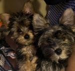 b1e346c3-6827-4df1-b69f-f5ffbb6dd0e2/facility/a548d53f-8f3b-4a24-8176-256563aac6a8