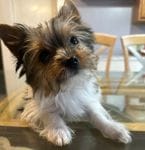 b1e346c3-6827-4df1-b69f-f5ffbb6dd0e2/facility/c01dd5ed-87ea-4803-aa75-da9c5a60b6bd