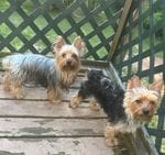 b1e346c3-6827-4df1-b69f-f5ffbb6dd0e2/facility/d0d65e8f-ed30-47eb-beac-f11d7541e37d