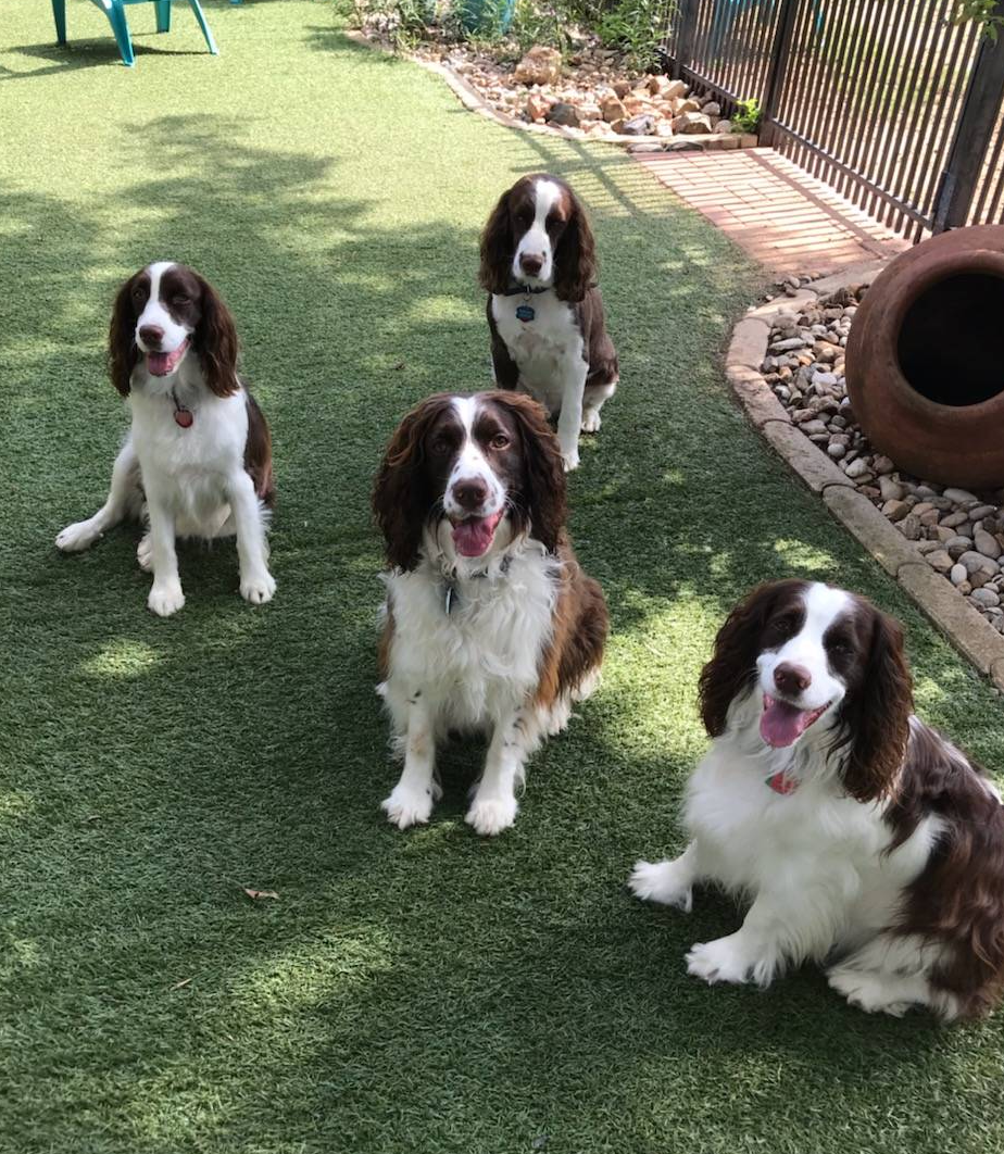 b1f84a0d-7fe3-45c5-a0cf-6d7c982671fc/facility/fa9a852e-3c14-4fa6-9573-bc05c0130a4f