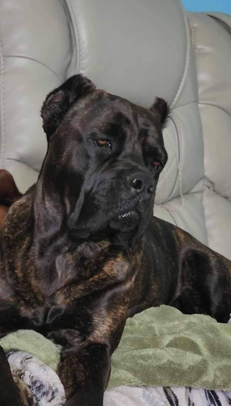 b4d539e5-d4bc-4f86-92a4-bad59894674a/facility/63856a22-ad0d-4693-a7b9-b5b97faf1523