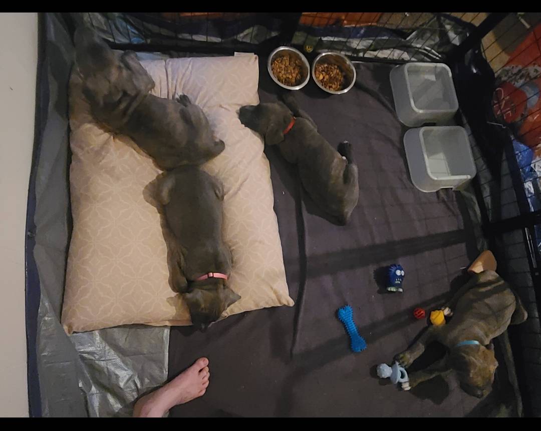 b4d539e5-d4bc-4f86-92a4-bad59894674a/facility/f89a25c2-5e94-4d12-a36a-7e5f99fe426d