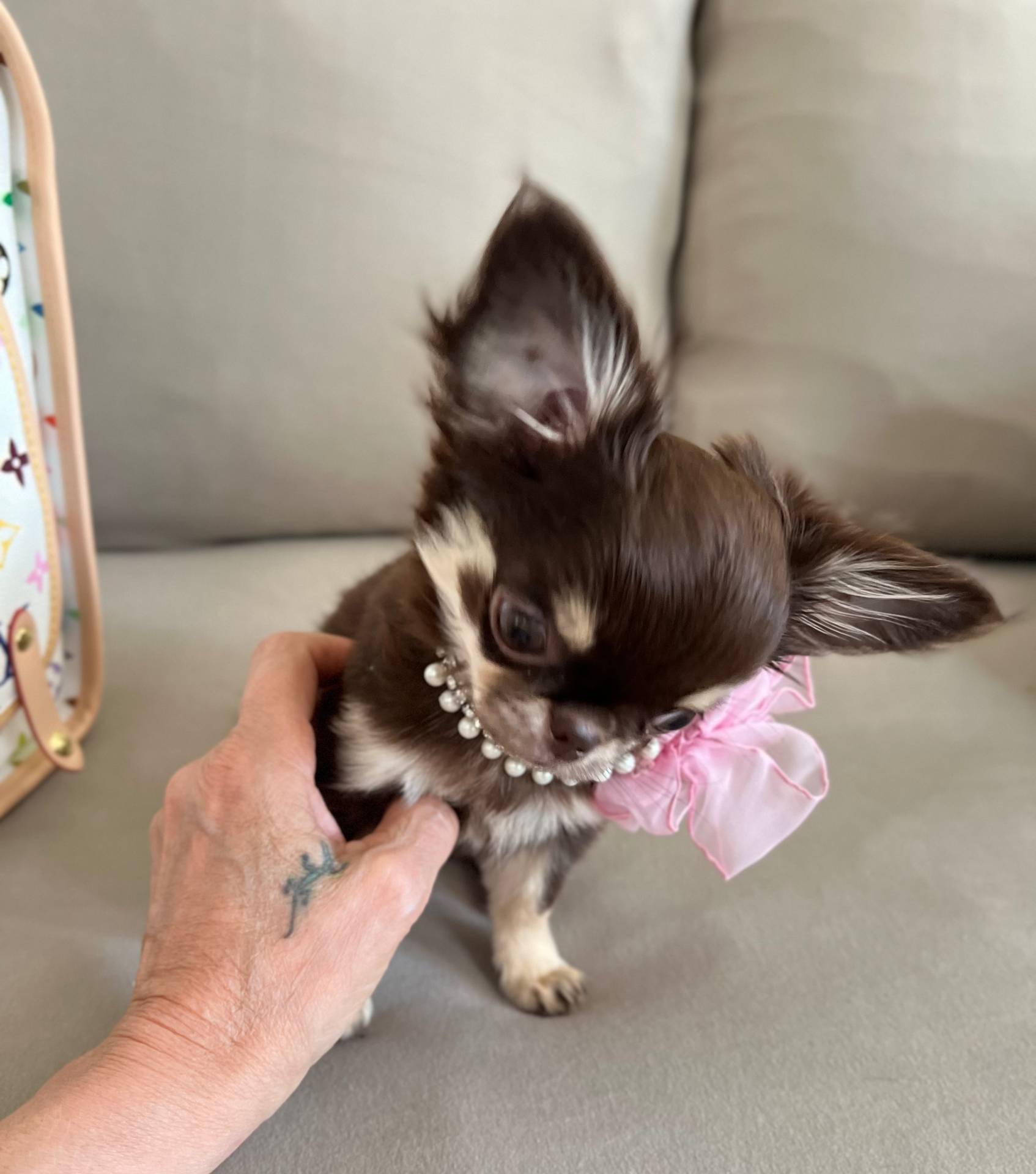 b5bcae45-0389-4b1e-8f0e-bb3abb7dc693/listing/599089a2-ac67-4ceb-9c4d-5b4b9e2381dc/691c981d-4fce-41f9-8424-3989ac802df5