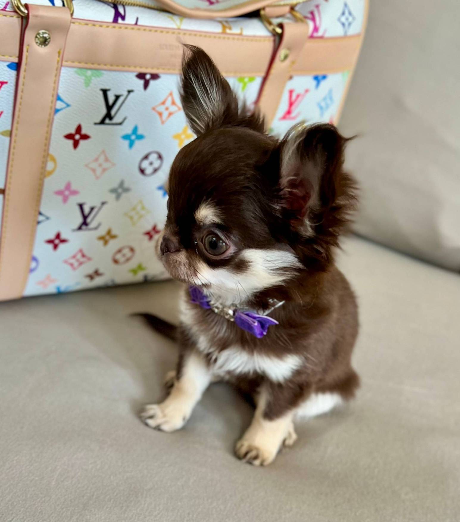 b5bcae45-0389-4b1e-8f0e-bb3abb7dc693/listing/599089a2-ac67-4ceb-9c4d-5b4b9e2381dc/9c450168-025b-447a-9e36-960c0df75a77