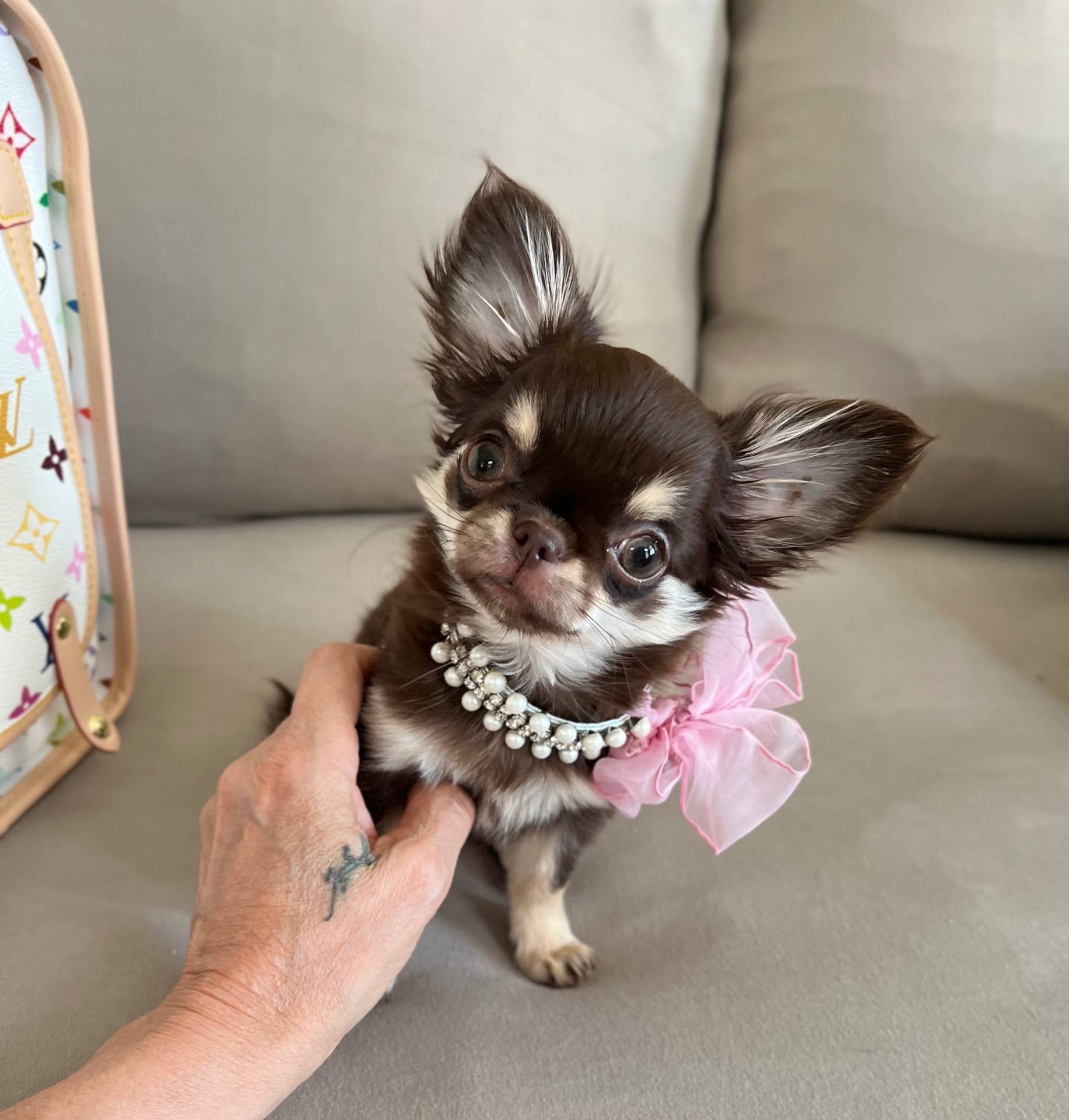 b5bcae45-0389-4b1e-8f0e-bb3abb7dc693/listing/599089a2-ac67-4ceb-9c4d-5b4b9e2381dc/f2a9a283-5636-41b6-ba90-a1bb632a7175