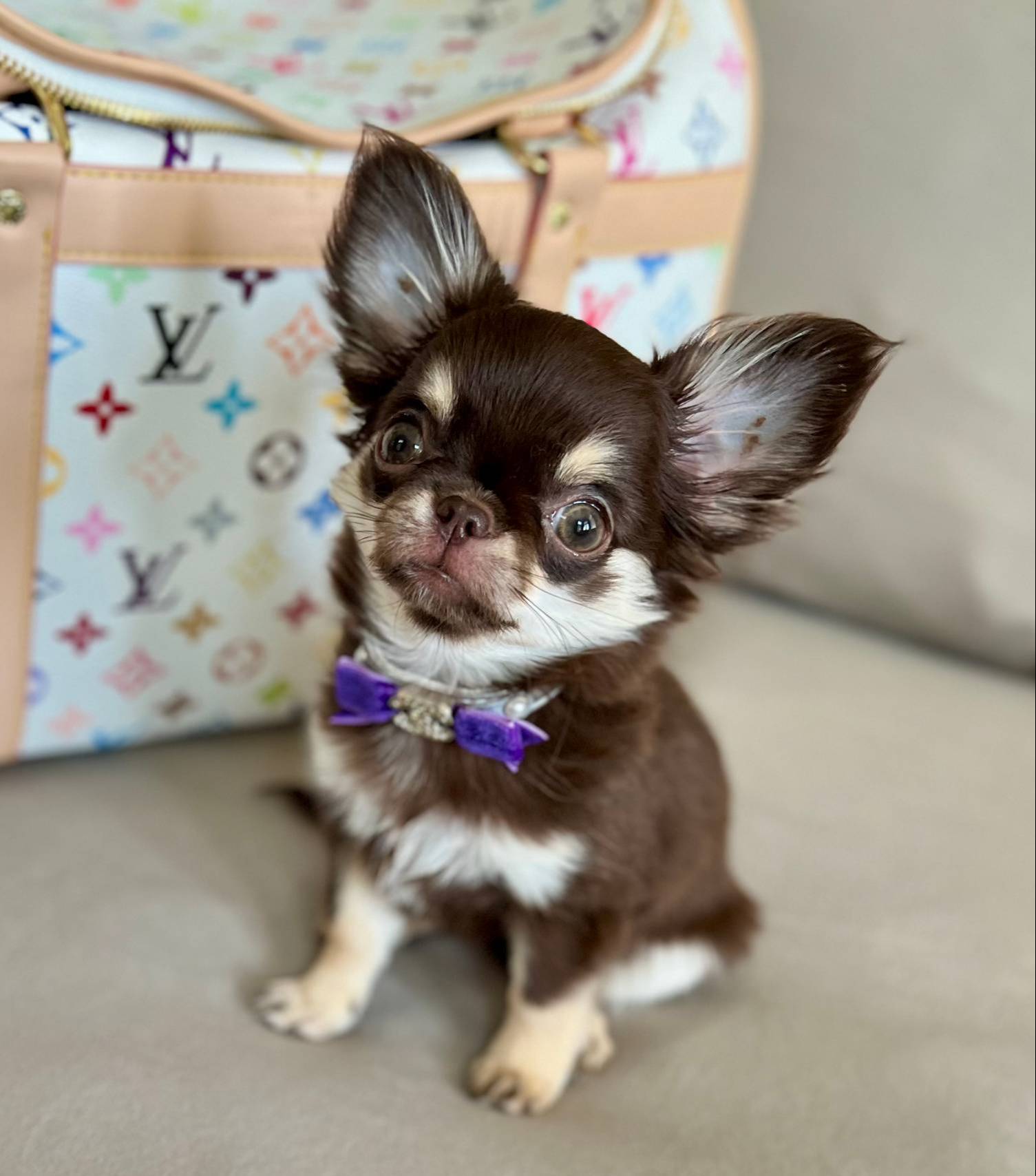 b5bcae45-0389-4b1e-8f0e-bb3abb7dc693/listing/599089a2-ac67-4ceb-9c4d-5b4b9e2381dc/f2e60940-d52c-4d31-a9e3-ed346e2f7e5d