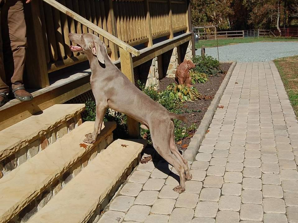 b6737475-e9fd-4dfb-8c44-270a4e6cdff2/listing/1c960729-191c-41bd-a3c7-37c6c4563fca/5c3f2013-1d3c-4a0c-afcc-771bb7ec968d