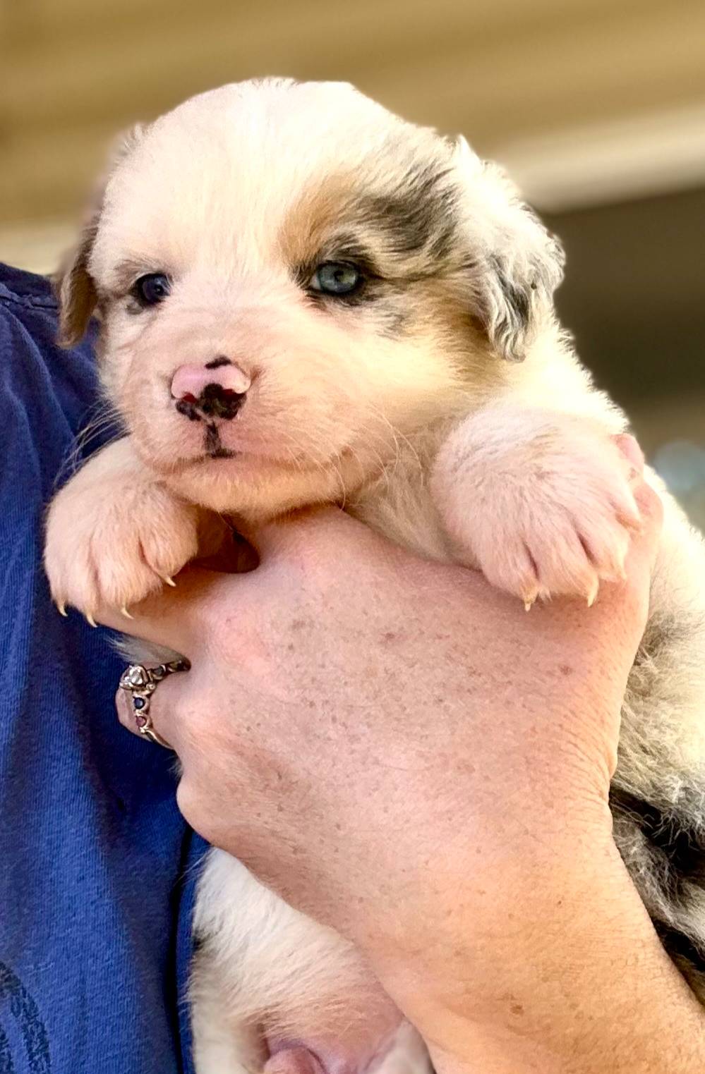 b779fcf8-4e63-4938-b196-d290afd23924/listing/0e862293-079e-49d8-972b-debb4c936979/a6ee7021-8778-4466-9327-7bf8df69aab4