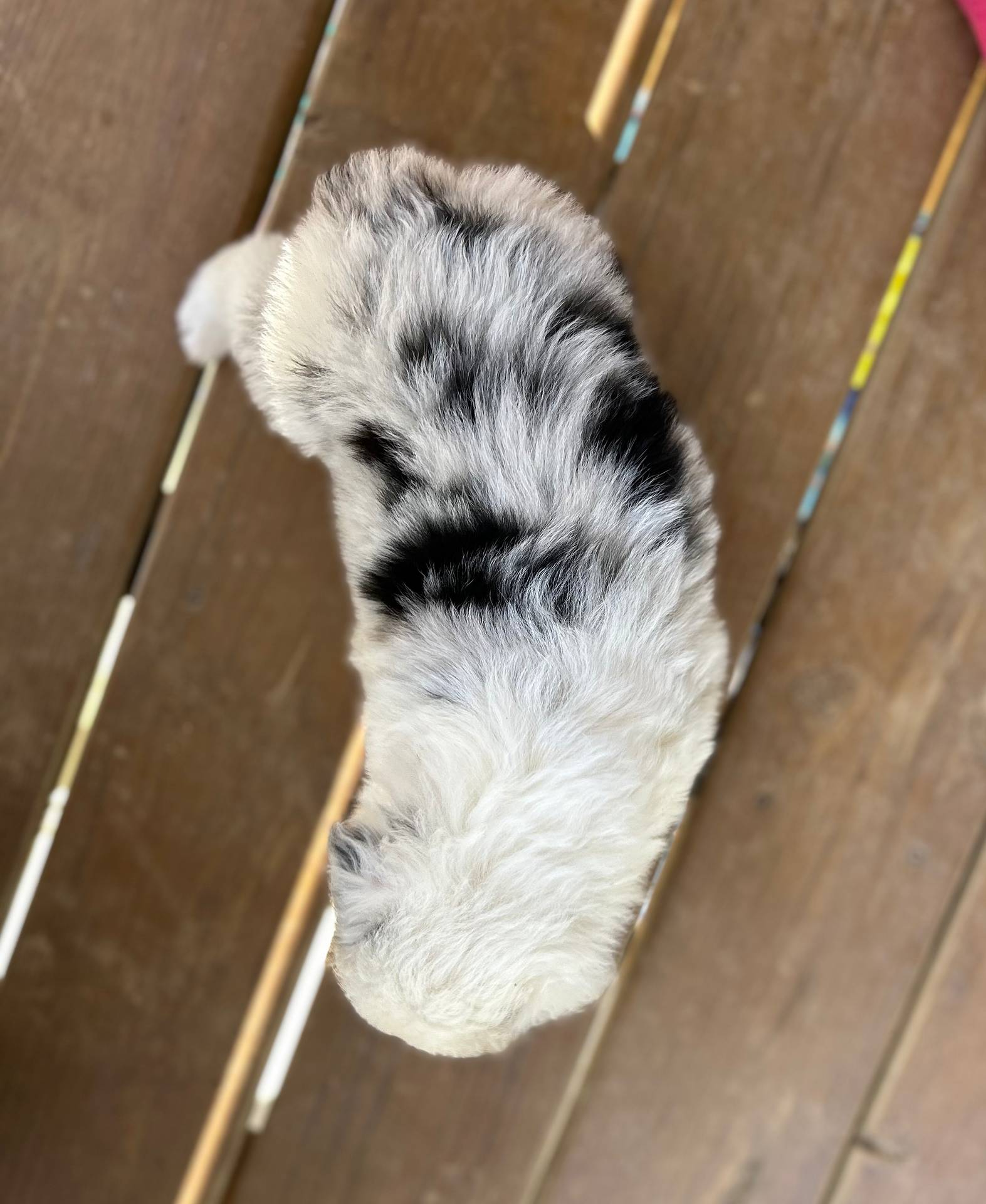 b779fcf8-4e63-4938-b196-d290afd23924/listing/0e862293-079e-49d8-972b-debb4c936979/e1d7b902-a1af-4baf-b46c-ee44a7749edf