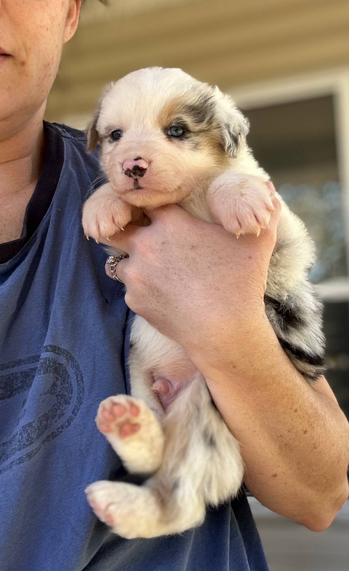 b779fcf8-4e63-4938-b196-d290afd23924/listing/0e862293-079e-49d8-972b-debb4c936979/ee3aee17-e309-41bc-b5b8-eb1c968574ab