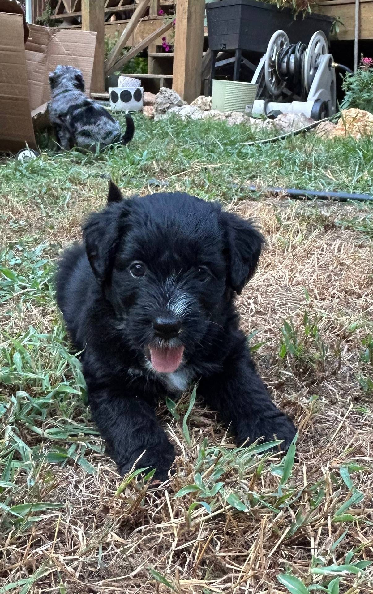 b779fcf8-4e63-4938-b196-d290afd23924/listing/c915e7b7-f93d-4be8-8602-9f8093a33df1/bae54563-90a6-413a-81ce-8e3e2c5642e6