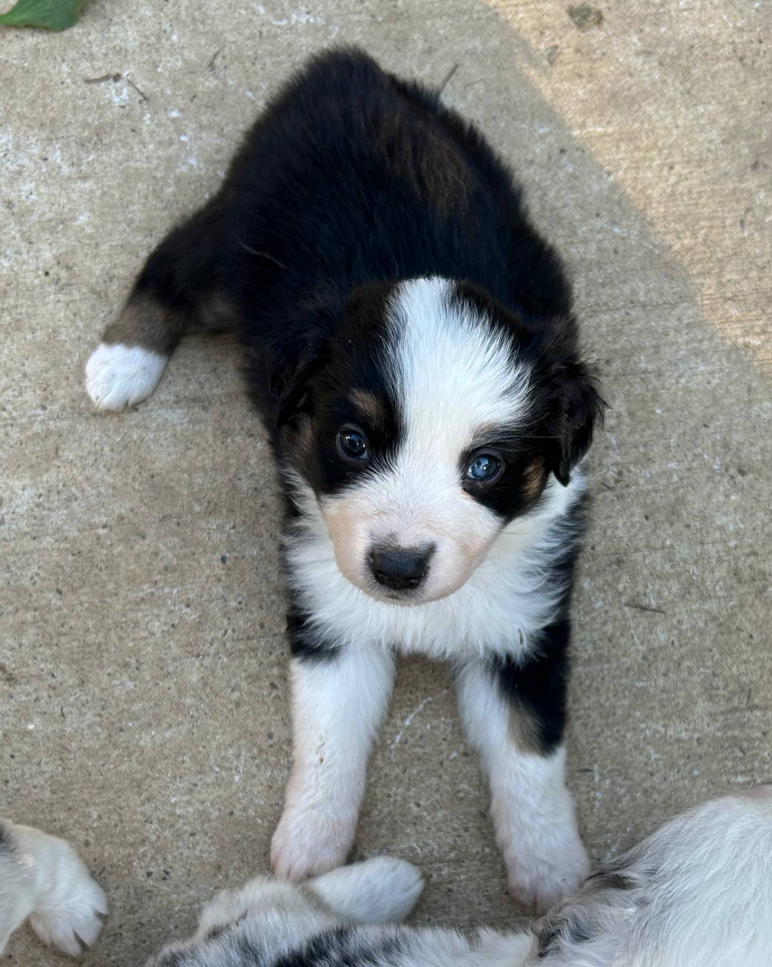 b779fcf8-4e63-4938-b196-d290afd23924/listing/e996a506-83a9-4c96-aebd-ea032ce0964a/844f6994-b36d-478c-91f9-ec782c806b3c