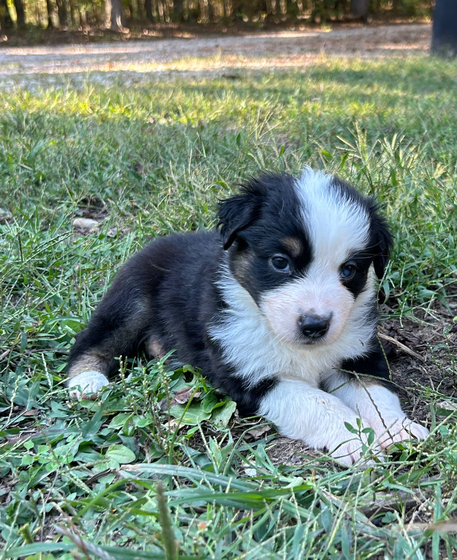 b779fcf8-4e63-4938-b196-d290afd23924/listing/e996a506-83a9-4c96-aebd-ea032ce0964a/b1c5a5ac-6763-4df6-a56b-e81f52e7e246