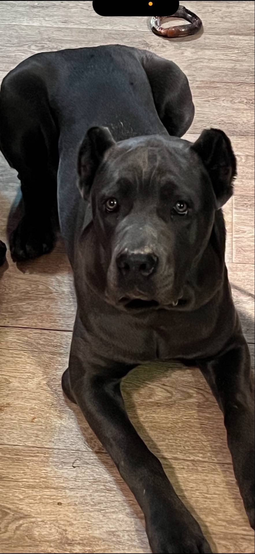 b8f43558-06e0-4673-a737-7baee994aef2/facility/17b0b773-fb8b-4b1d-b491-4d3ad5102330