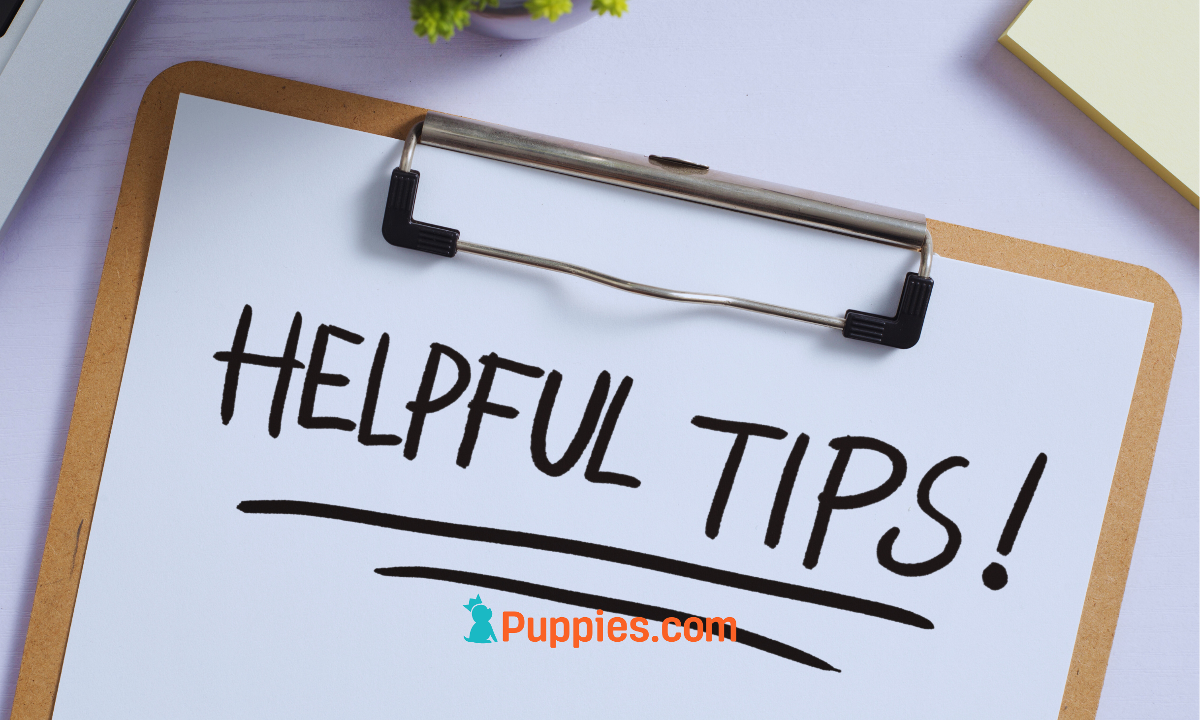 Helpful Tips on Licensing