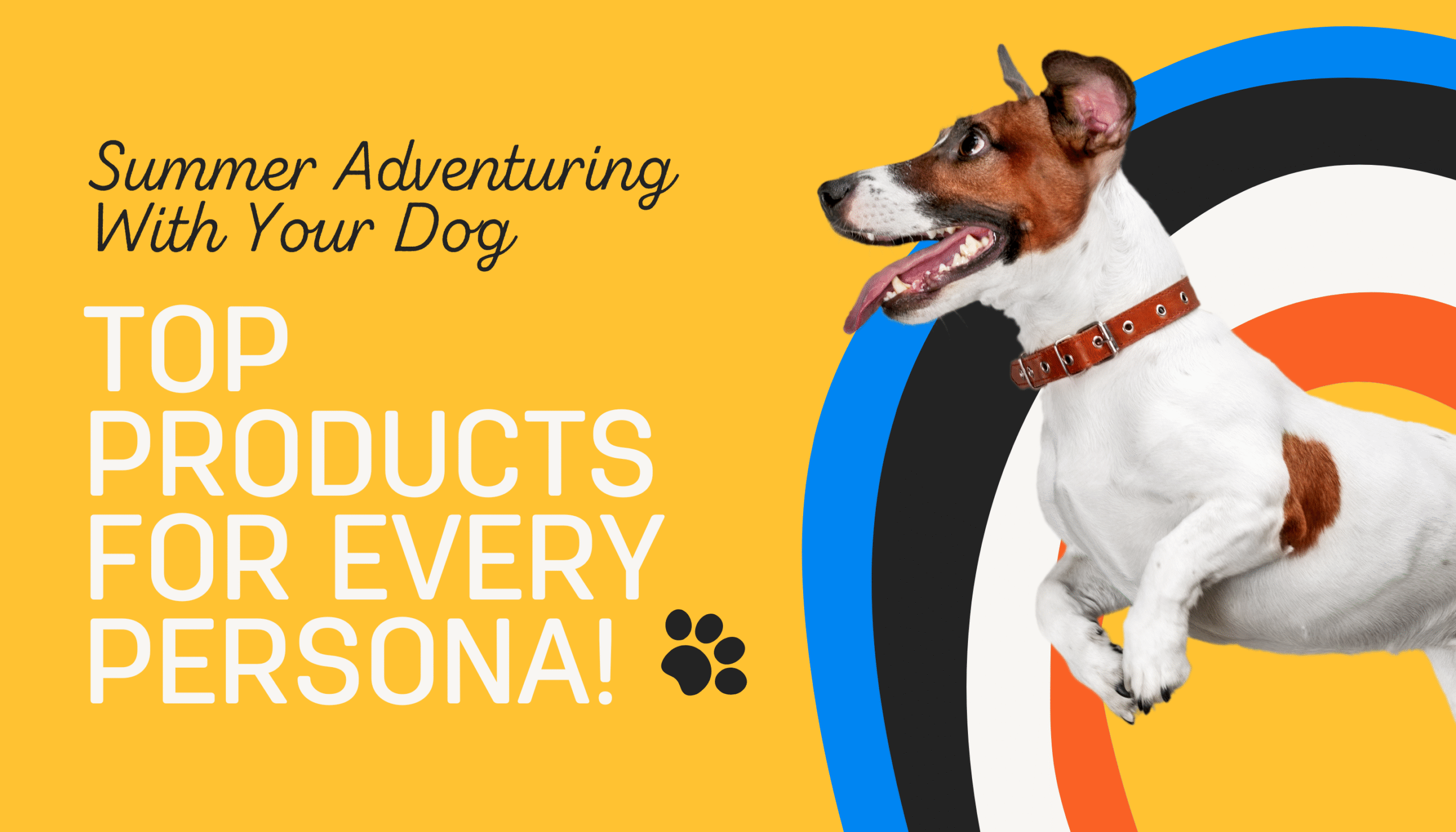 Summer Adventuring With Your Dog – Top Products for Every Personality Type!