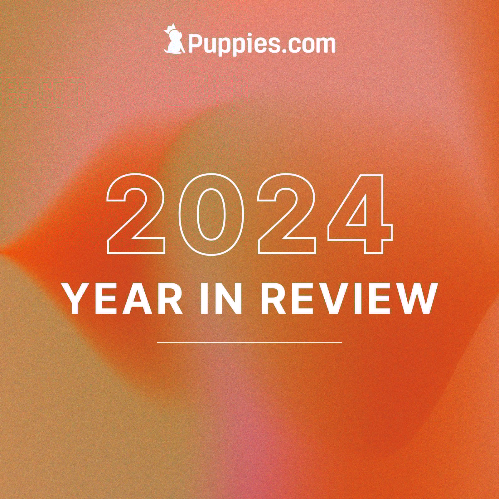 Celebrating 2024 – A Paw-sitive Year at Puppies.com!
