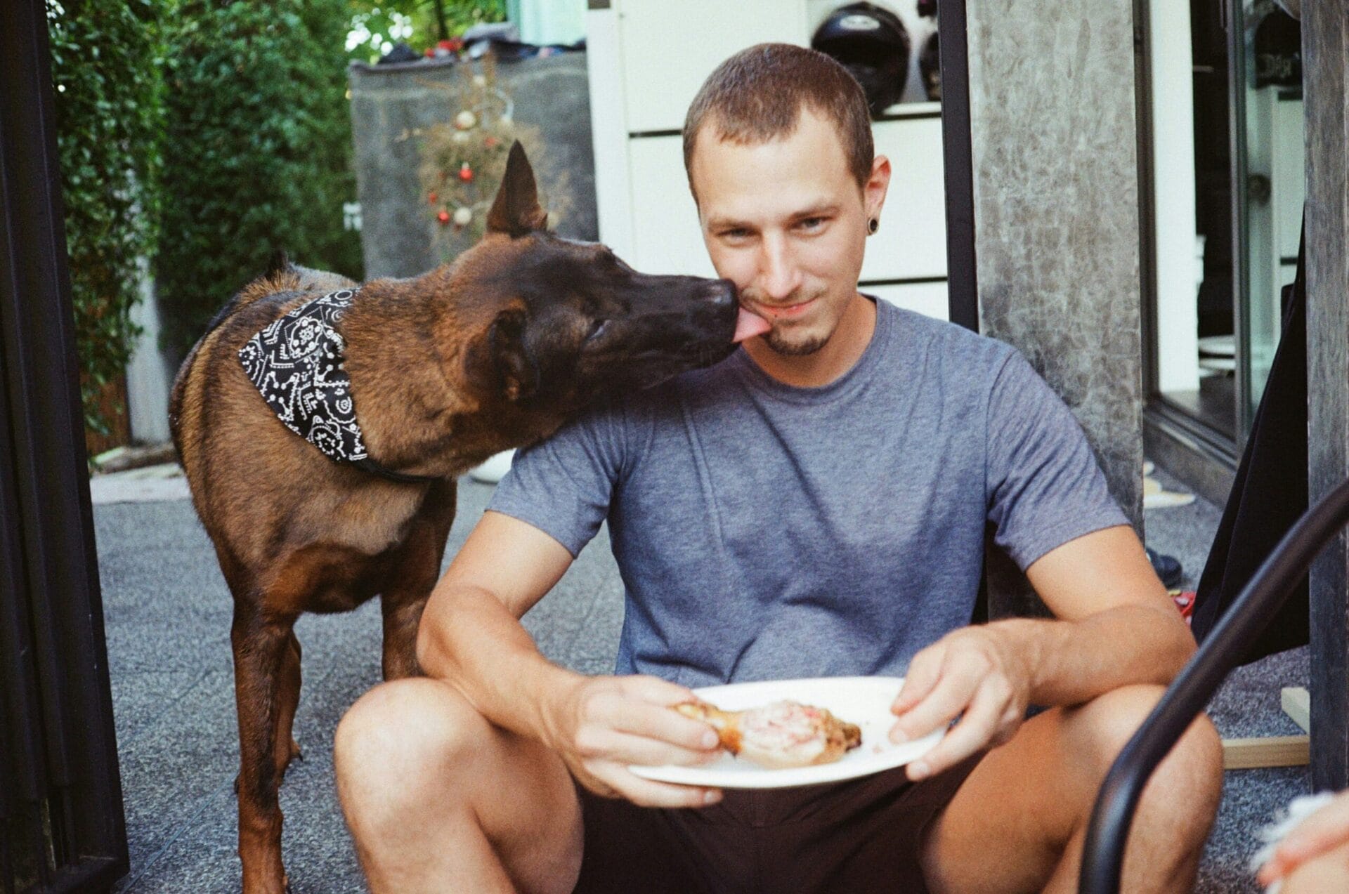 5 Common Foods That Could Harm Your Dog