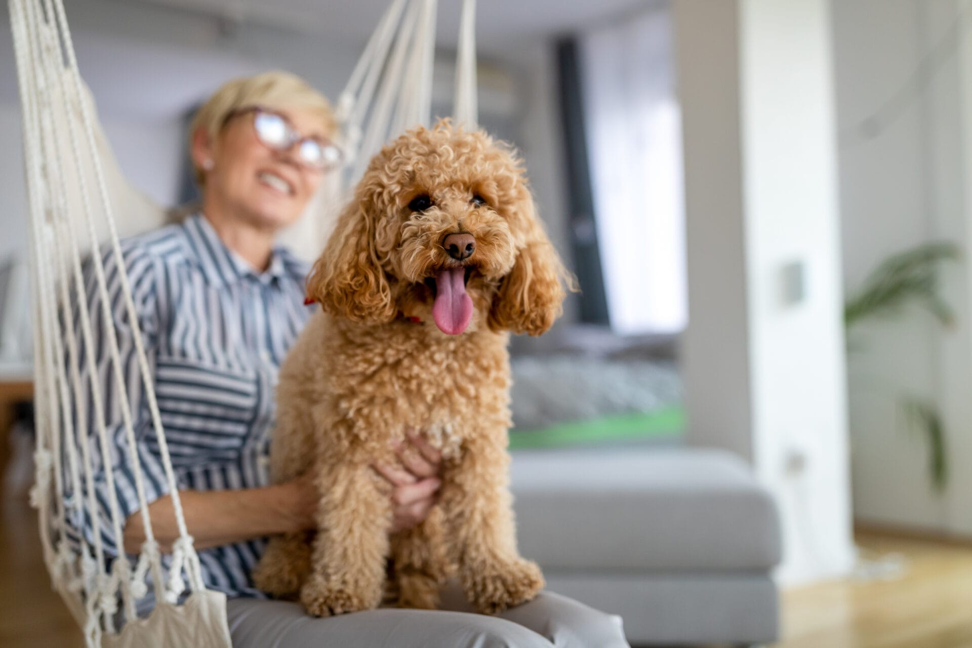 A senior woman and her pet dog.