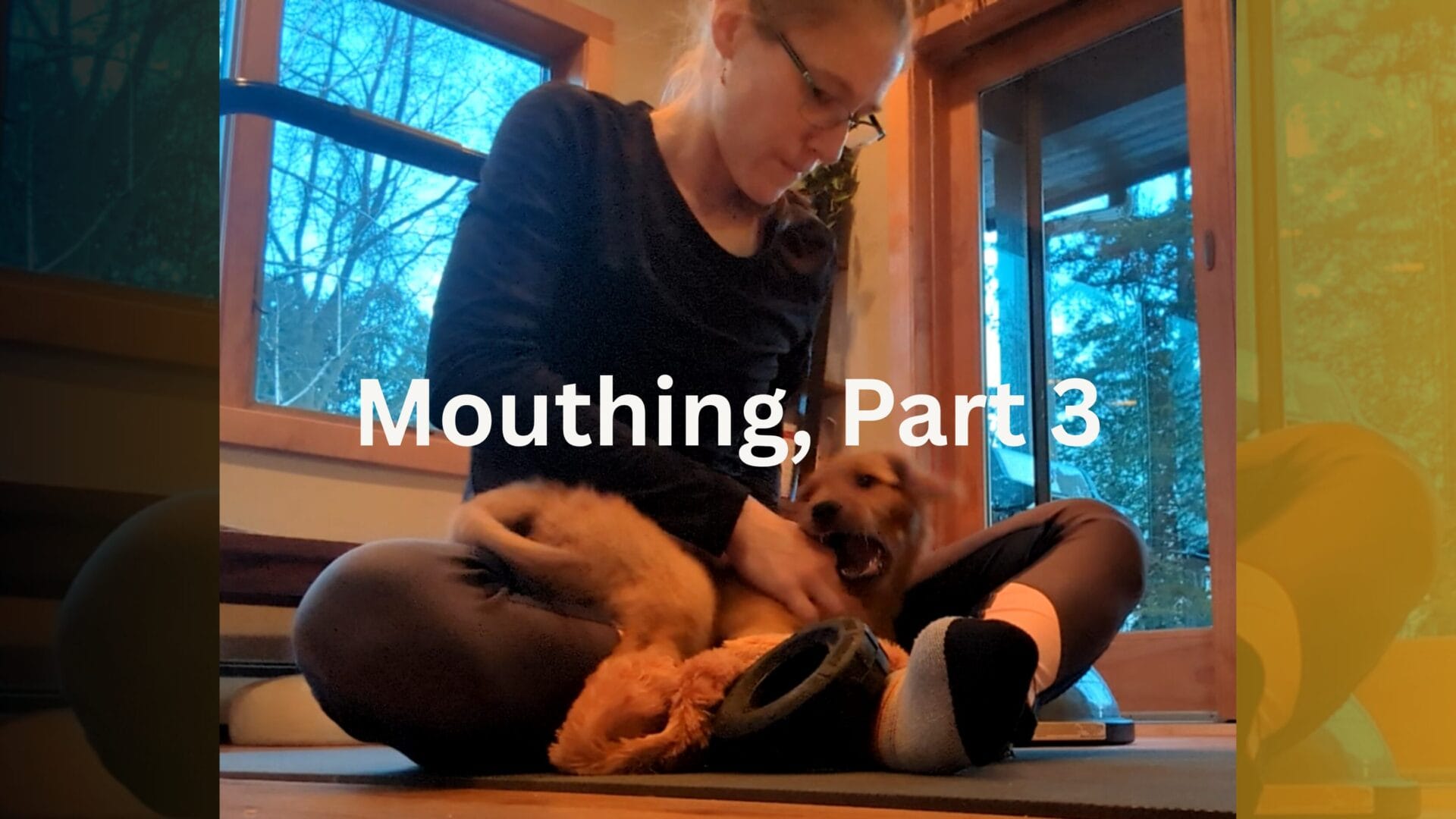 Much Ado About Mouthing, Part 3: Training and Managing Mouthing Behavior in Dogs