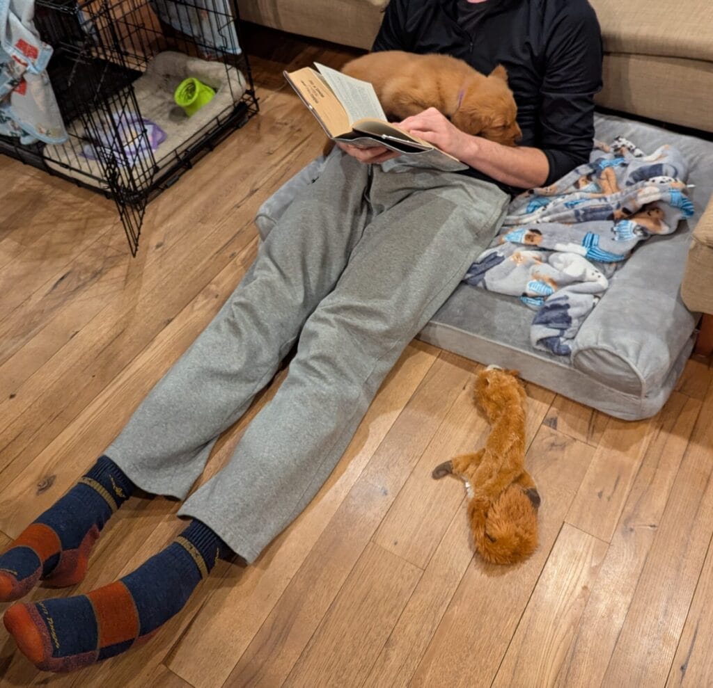 Golden Retriever puppy resting outside his cage with his new puppy parent. 