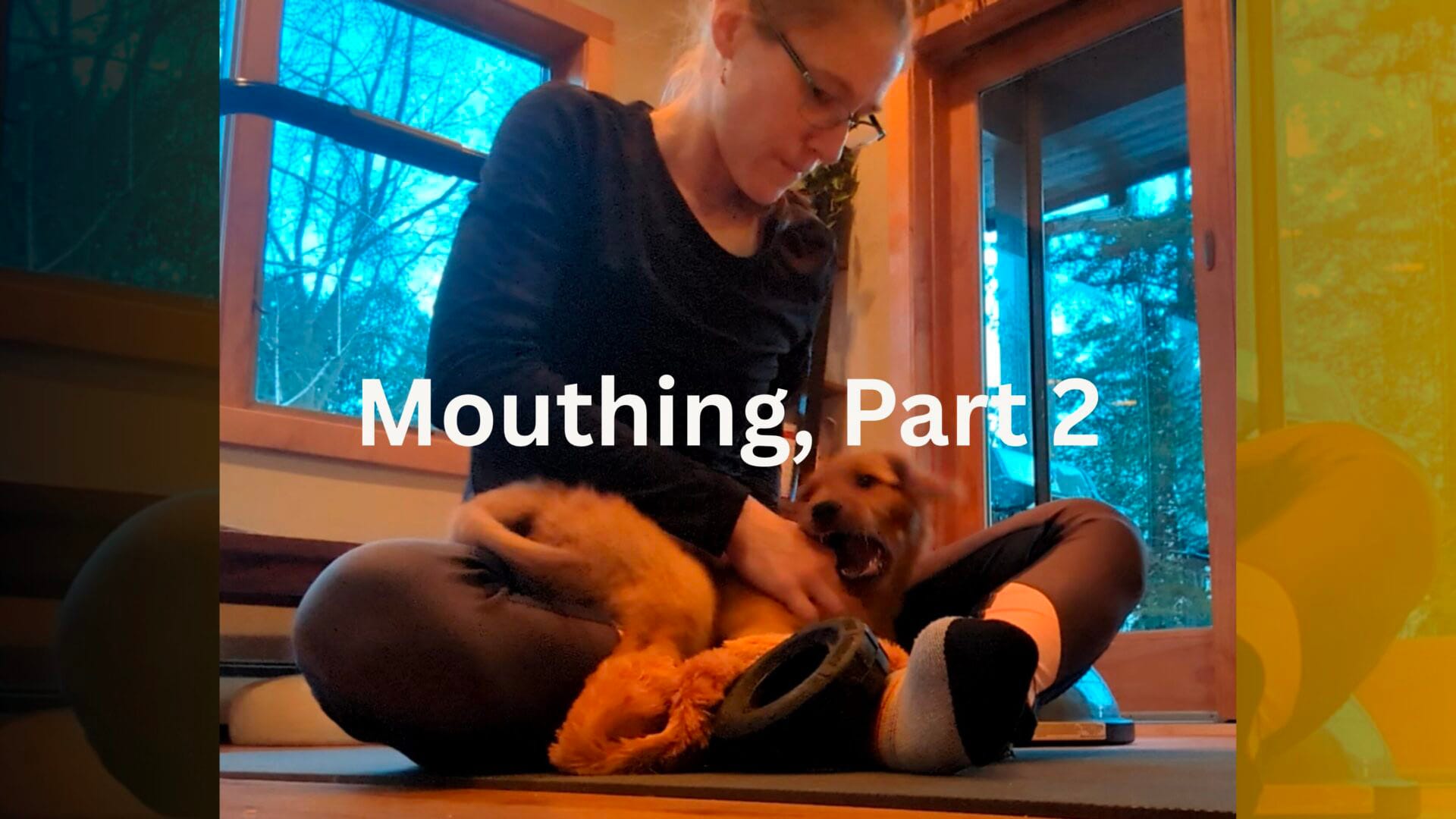 Much Ado About Mouthing, Part 2: Meeting Your Dog’s Mouthing Needs