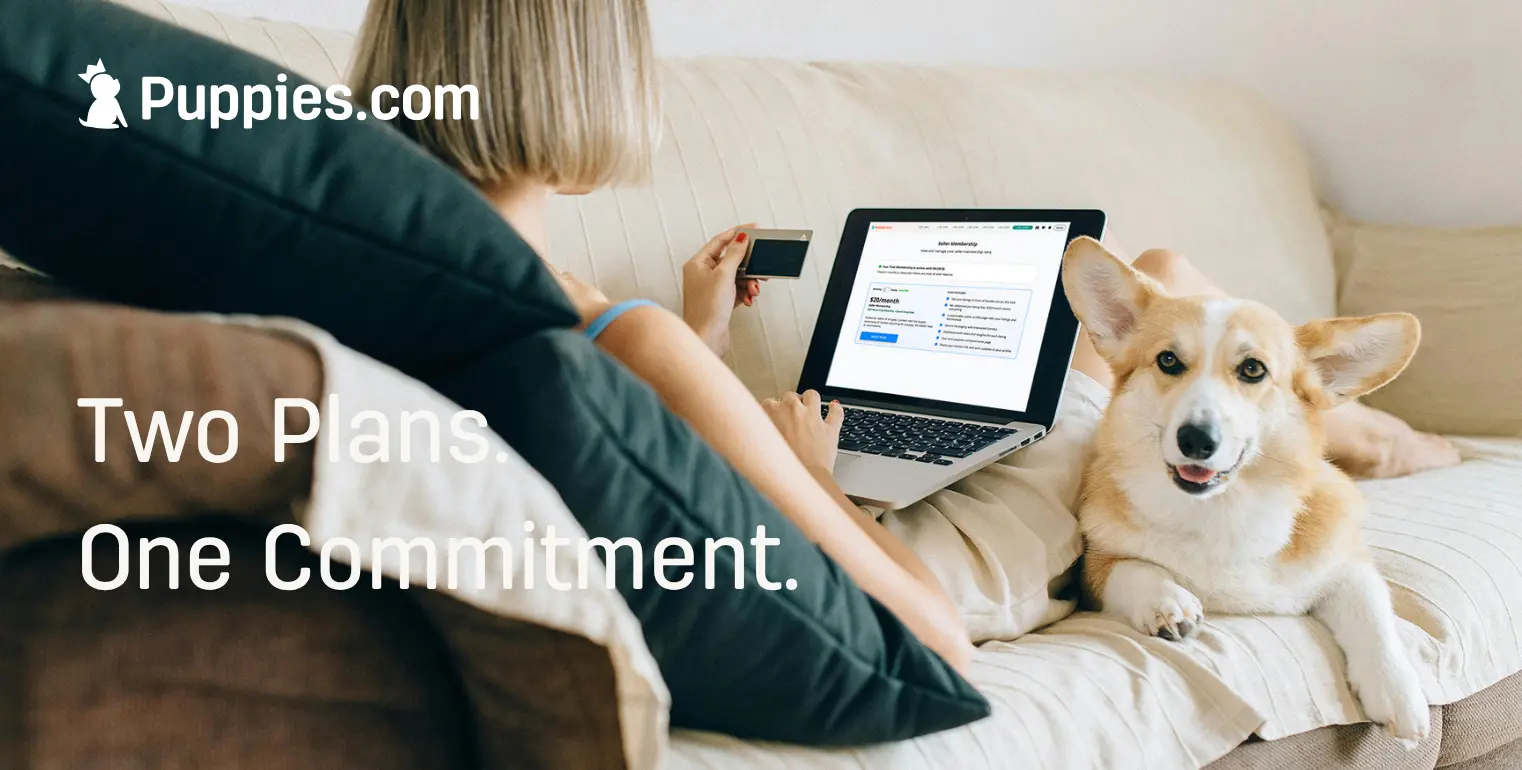 Puppies.com Breeder Membership Plans: Simple, Transparent Pricing