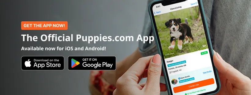 The new Puppies.com app is here! Get it on the Apple Store or Google Play.