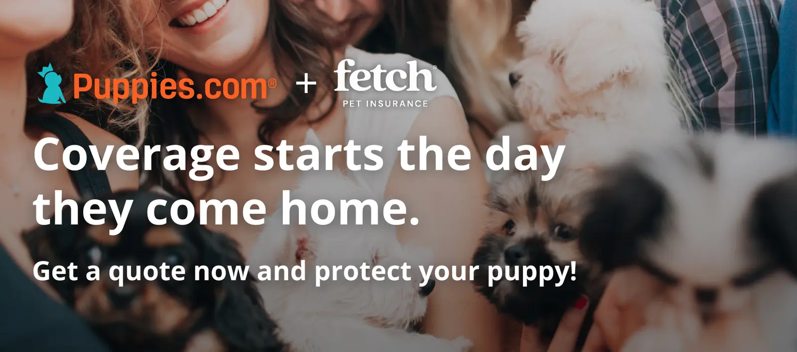 Puppies.com Partners with Fetch Pet Insurance: What New Puppy Owners Need to Know