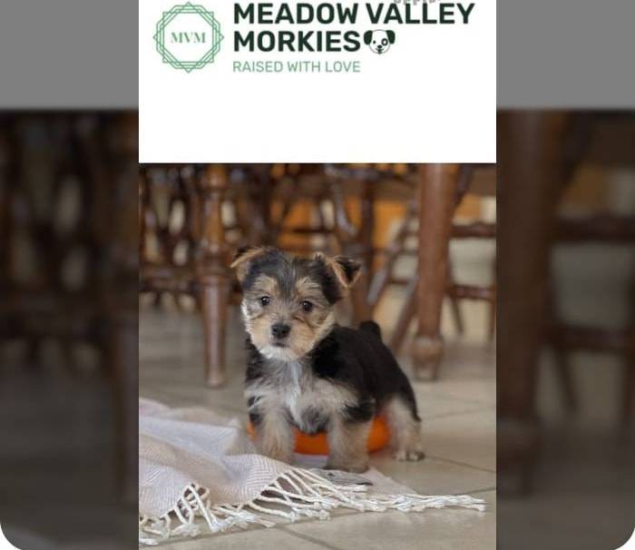 c53785bd-e574-4ca2-80a5-e5457a245e79/facility/253e4a83-5ce6-451a-bcc7-e6b1fb7ab971