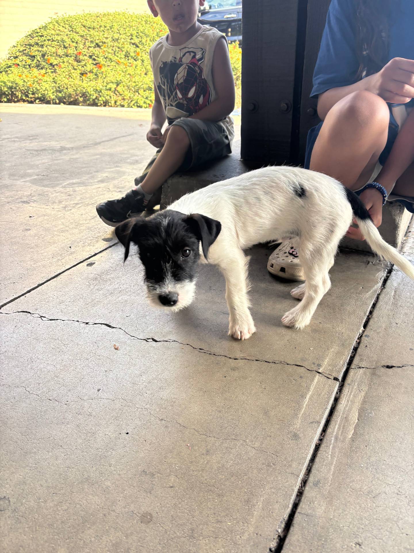 c58ce303-9d1e-469e-b248-646bc34944c1/listing/ac51136b-f6e8-4111-abc4-0888651448ac/e809d333-1c22-4ca6-ad50-b95697741aaf