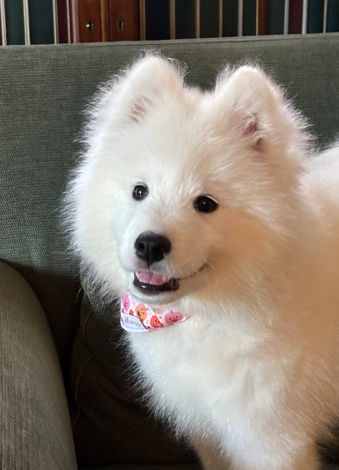 c9095acd-012e-4049-9879-c147330ddf99/listing/c0962399-e521-488b-83b4-5c64ff152959/4f592541-3145-4374-ab48-d876eb27fab2