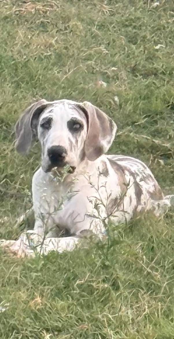 c90e5daa-1313-4a33-a14b-56f69b45ec73/listing/9873f01c-5eae-48eb-abb0-3ccbf0d0811e/f1d6979d-3218-435c-91e0-ebcfd8a19454