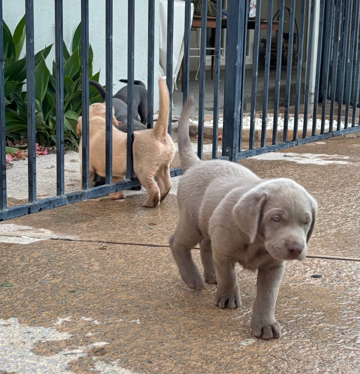 c9903765-079a-4788-bb36-3b57585eda57/facility/85c16f58-0a5f-49f6-b536-32ba4cb858a9