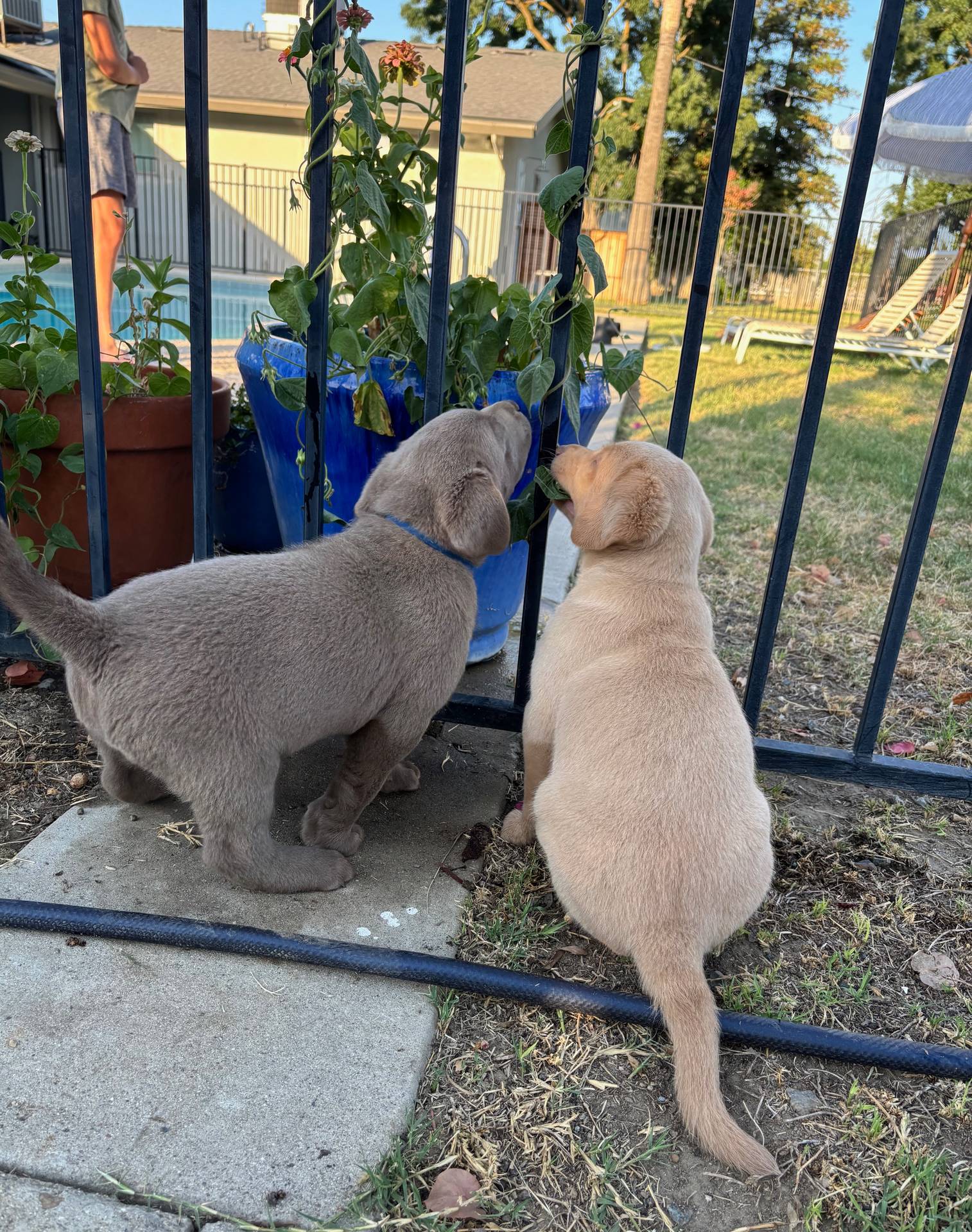 c9903765-079a-4788-bb36-3b57585eda57/facility/8605a267-9515-4fc1-99e2-03f78294901e