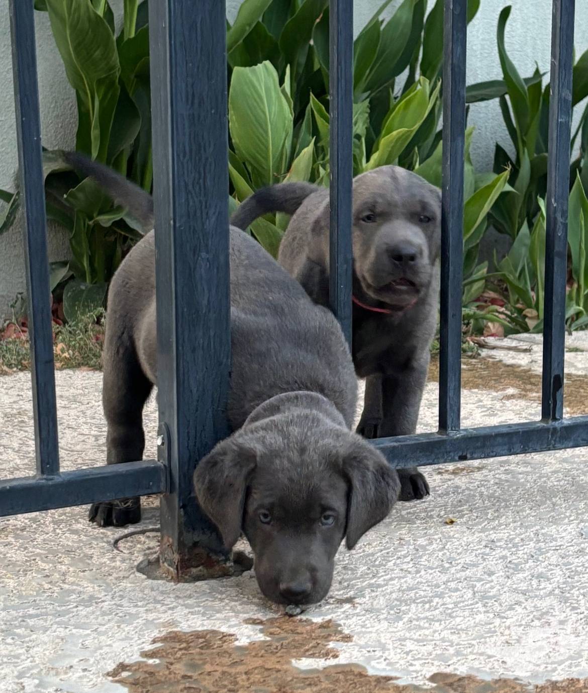 c9903765-079a-4788-bb36-3b57585eda57/facility/b68908eb-c73d-477c-8d7e-764e5bae8bfa