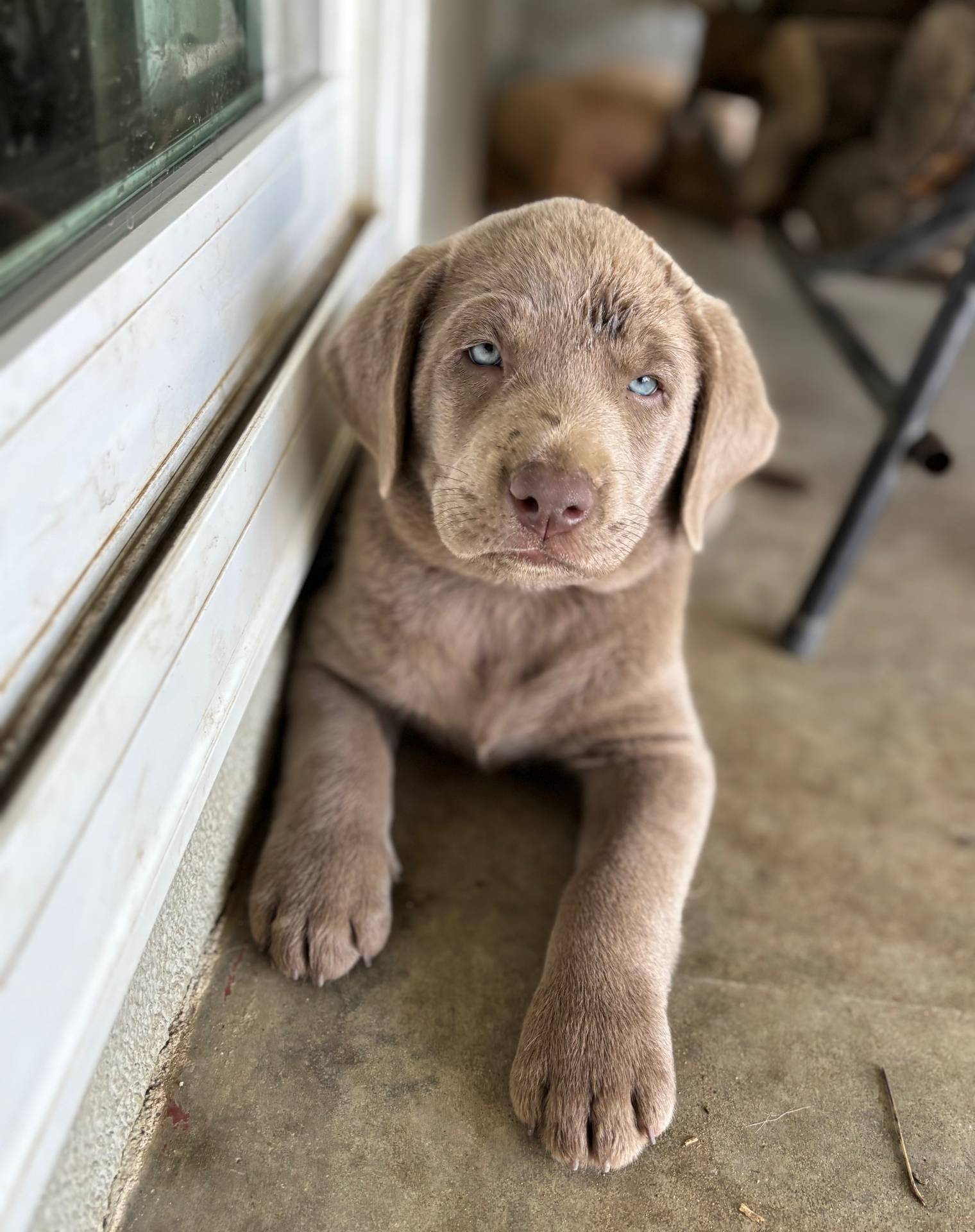 c9903765-079a-4788-bb36-3b57585eda57/facility/b6c3c21a-b999-41c0-bcee-ee21c077c058