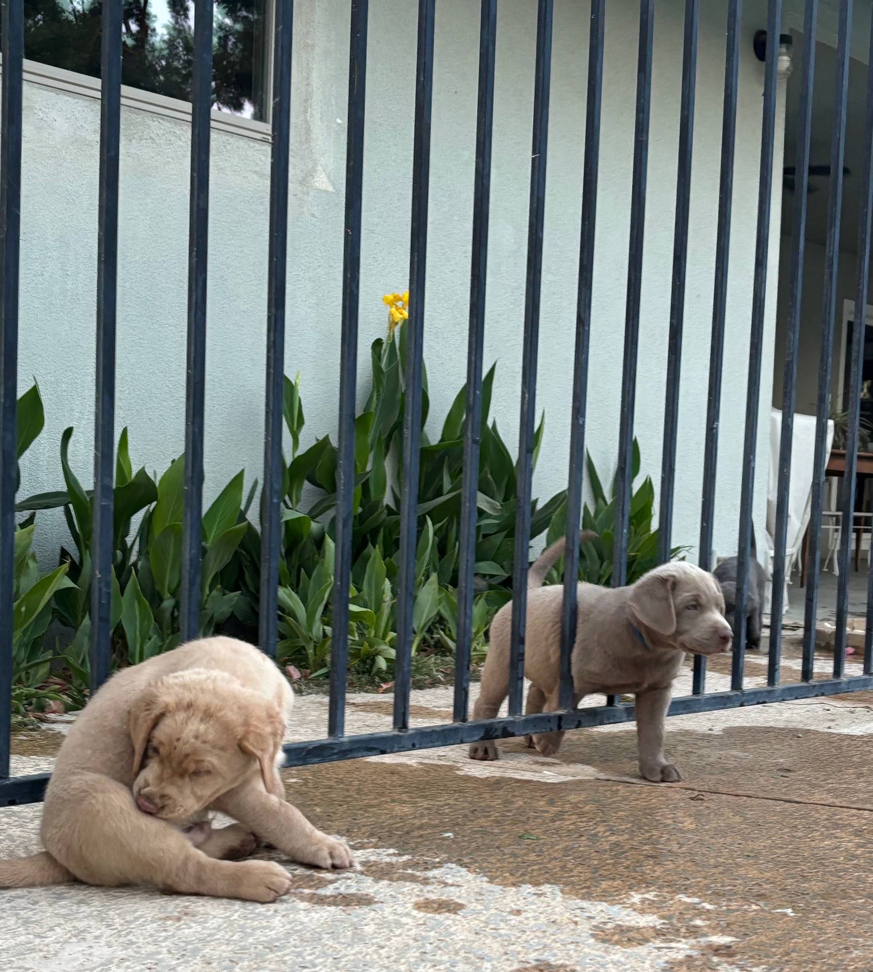 c9903765-079a-4788-bb36-3b57585eda57/facility/ca7fdf87-cb2f-4512-a7cb-2b51f17b0647