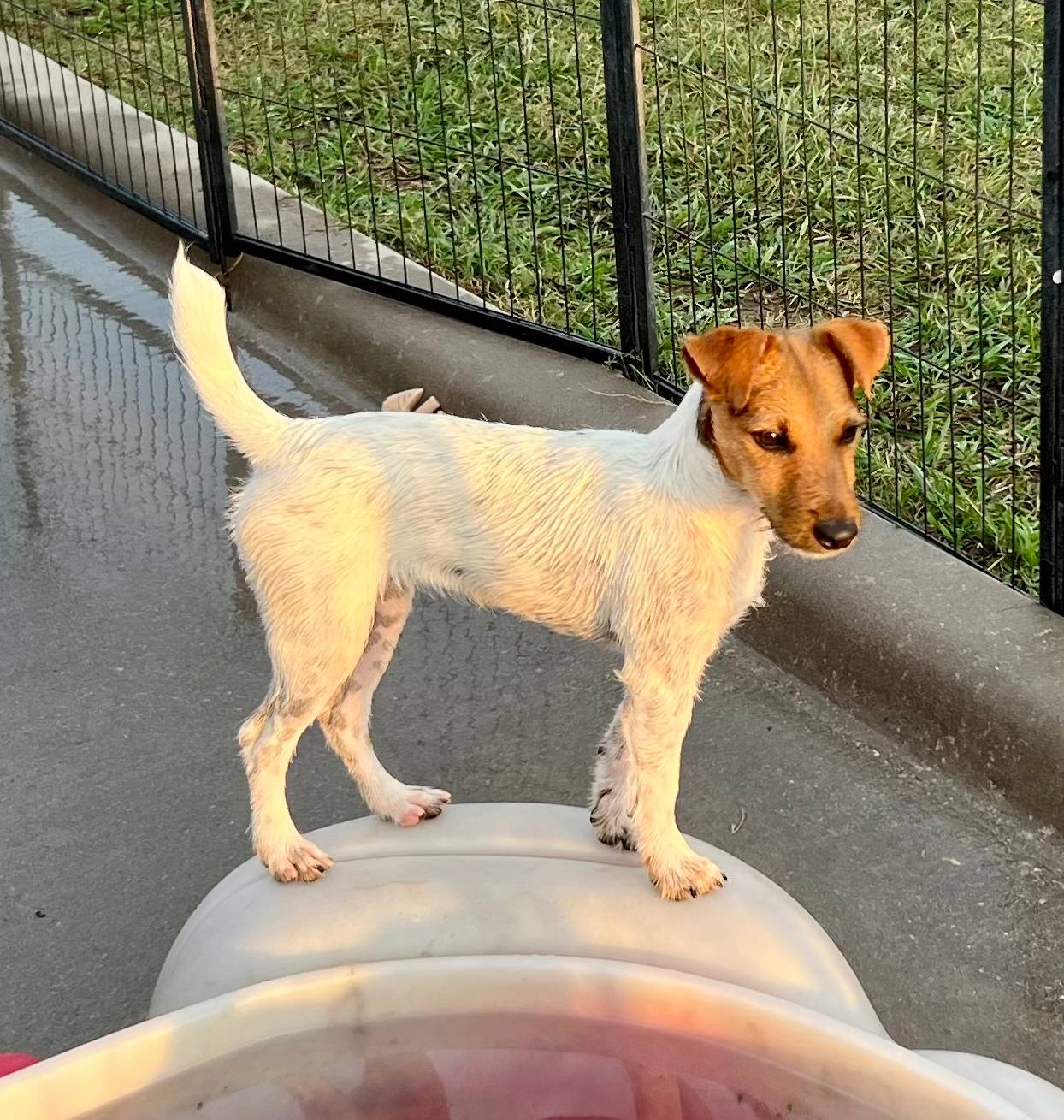 cb5ef297-14f1-4b05-b0ff-3306a915af1e/listing/480a9d21-f51b-472d-861a-81663109b966/5216ddb5-1d45-4b0d-b731-a0500c71a991