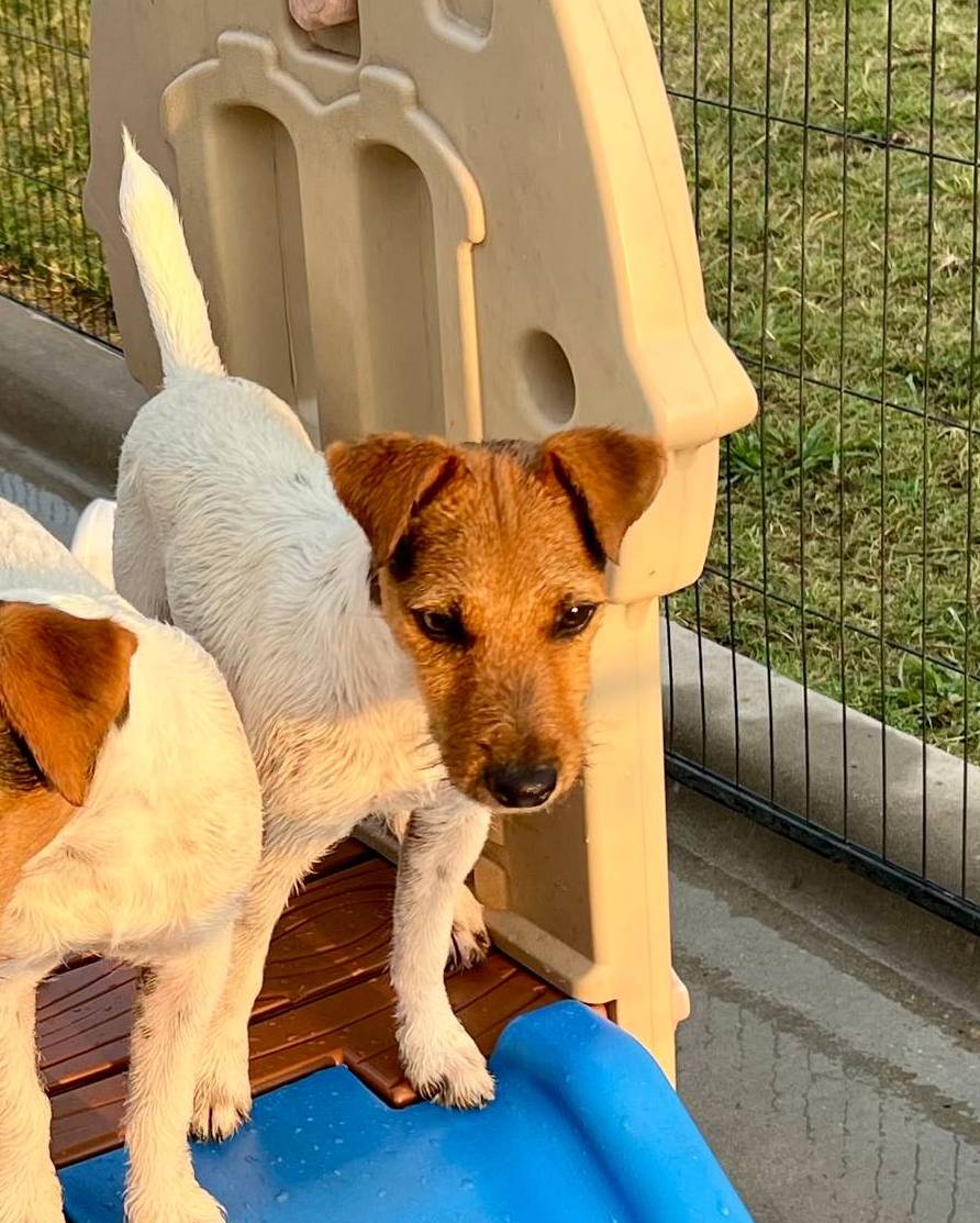 cb5ef297-14f1-4b05-b0ff-3306a915af1e/listing/480a9d21-f51b-472d-861a-81663109b966/bd49cc87-2756-4194-b7da-98b06b84bf1f