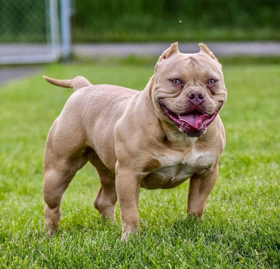 cf3d924d-71af-4345-9cbc-b870f0348b6e/facility/0024109d-b05d-4bb6-84e5-f084632ffacf