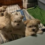 cf60910f-c8d8-4999-85b5-6b27909a857f/facility/1ae26816-21f2-427b-a6ef-0c7afd4131ea