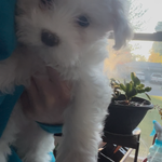 cf60910f-c8d8-4999-85b5-6b27909a857f/facility/4a0f83ca-515c-479b-875c-3f14fad8f560