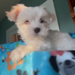 cf60910f-c8d8-4999-85b5-6b27909a857f/facility/4ea33e40-90f7-4645-9b23-d2dce5450cad